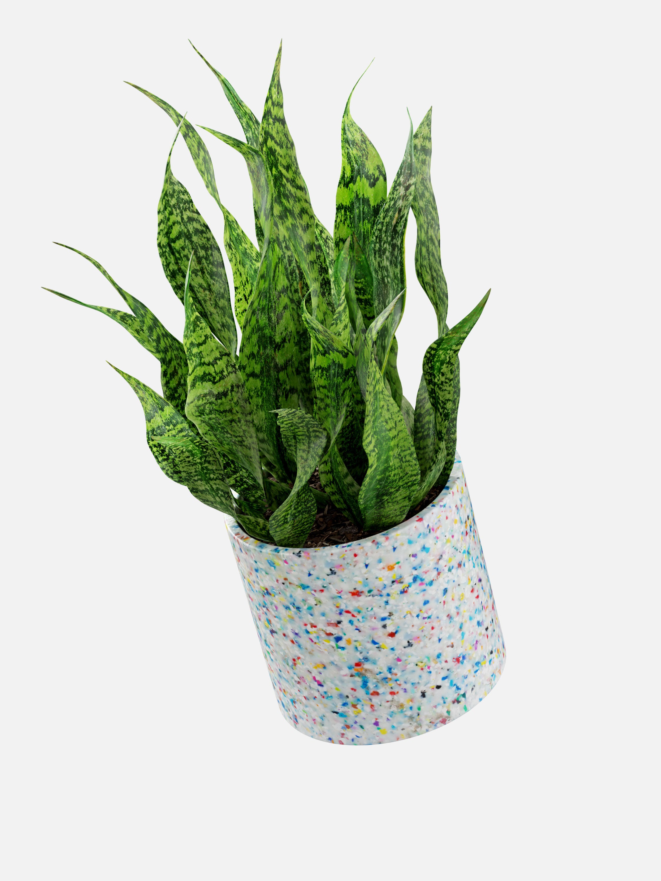 recycled plastic planter Mini Recycled Plastic Planter – Spaceboundstore
